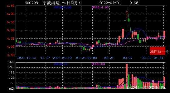 宁波海运股票最新动态，市场趋势与经营前景深度解析