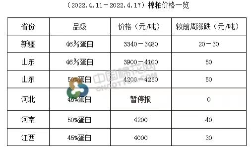 今日籽棉花价格最新动态，价格走势与深度分析