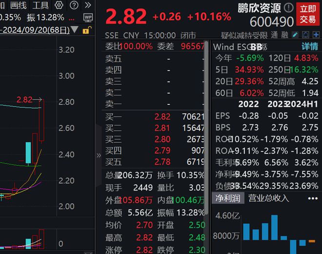 鹏欣资源股票最新动态，市场趋势与未来展望深度解析