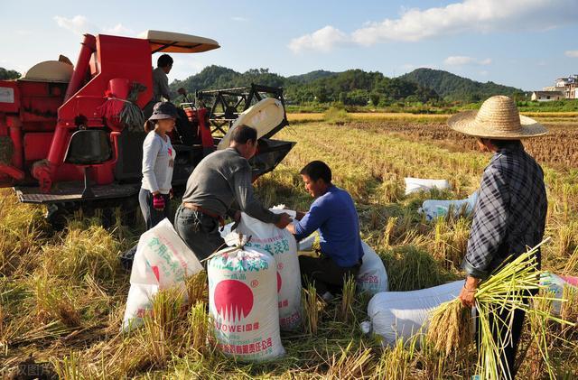 农村土地补贴最新政策全面深度解析