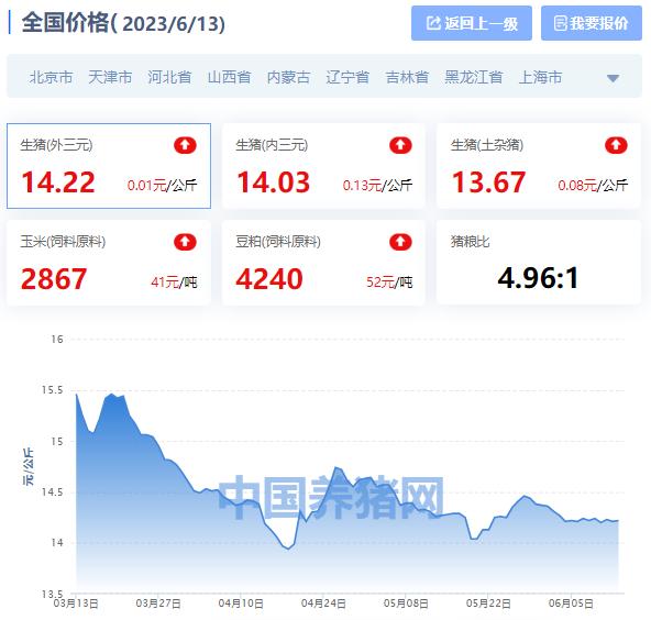 成都今日猪价最新动态速递