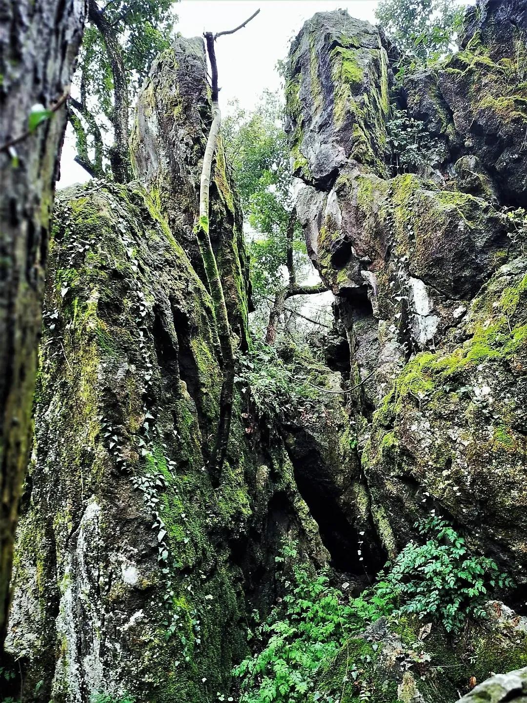 野惜芹 第5页