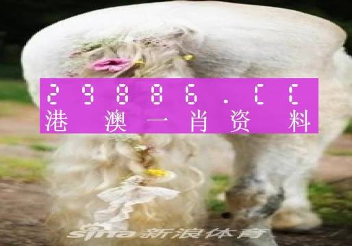 澳门今晚一肖一码图片,细节解答解释落实_Advance38.681