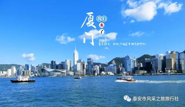 香港免费公开资料大全,全景解答解释落实_S55.342