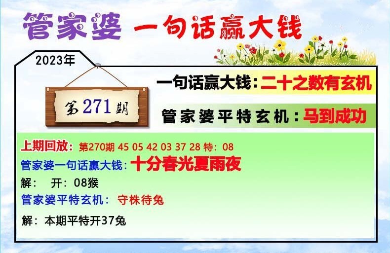 管家婆必出一肖一码,深层解答解释落实_pack80.743