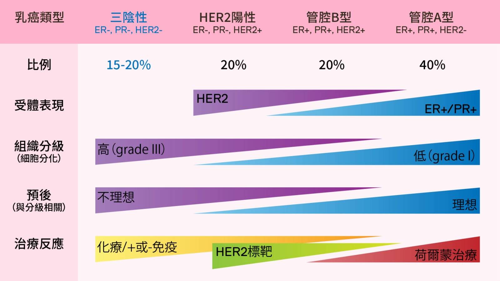 2024香港正版资料大全视频,质性解答解释落实_桌面版17.96