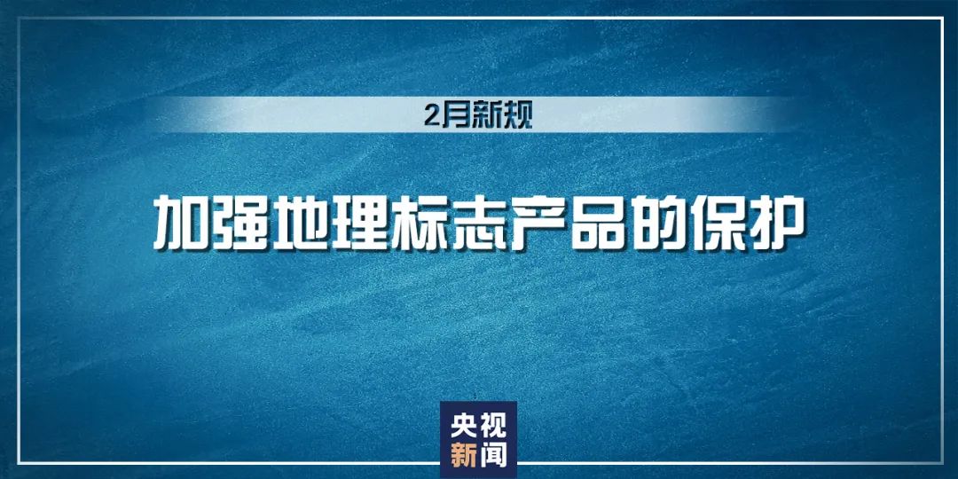 2024正版资料免费公开,重要性解释落实方法_开发版1