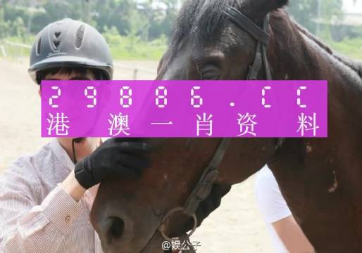 梦中的海洋 第4页