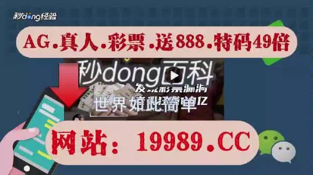 2024年澳门天天开好彩,经验解答解释落实_极速版49.78.58