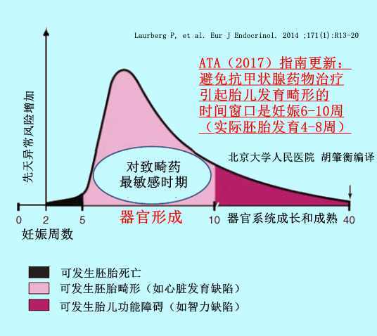 甲亢最新指南及深度解读