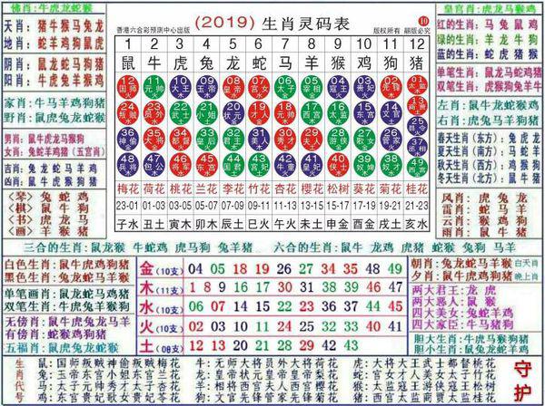 2024最新奥马免费资料生肖卡,动态调整策略执行_精简版105.220