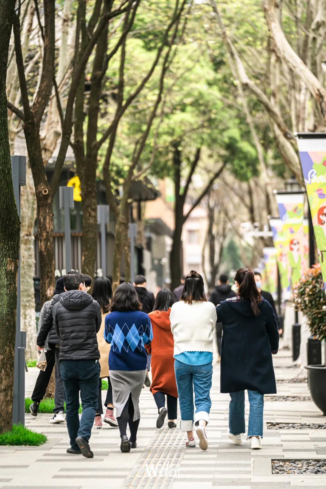 新时代财富机遇，探索最新赚钱门道