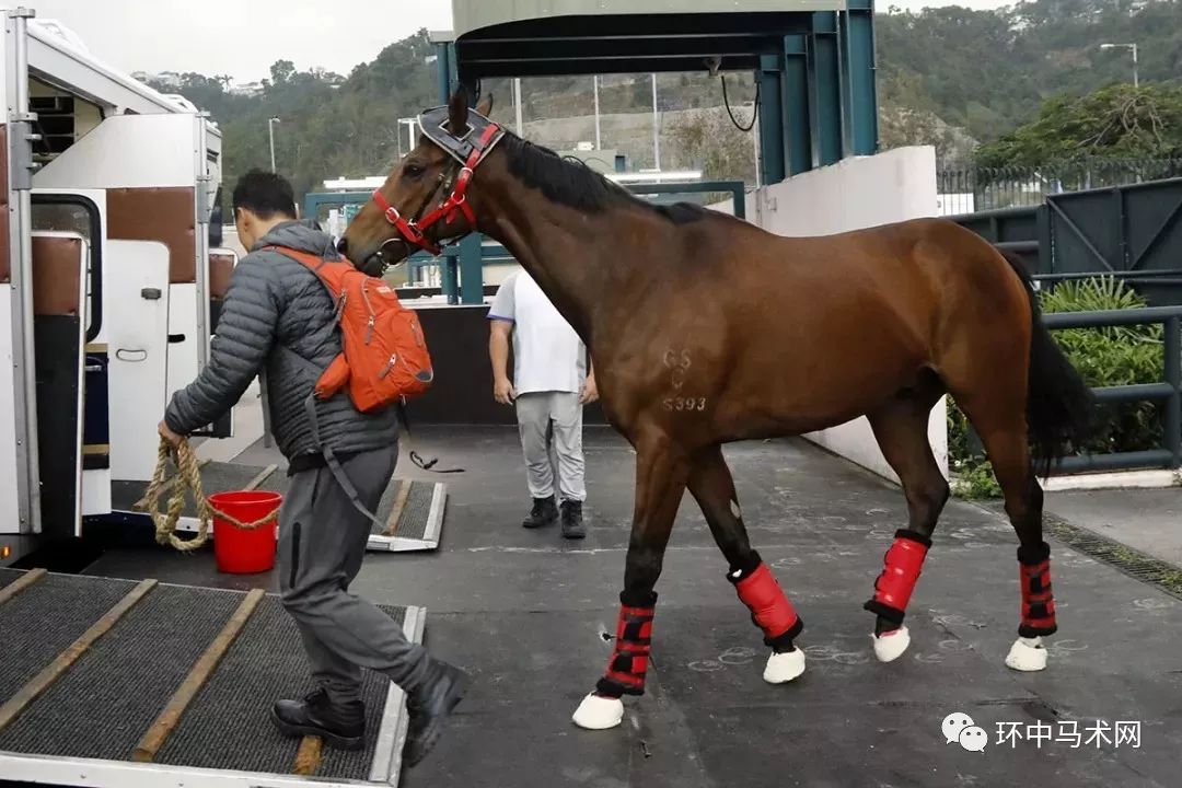 马会香港7777788888,连贯性执行方法评估_定制版6.22