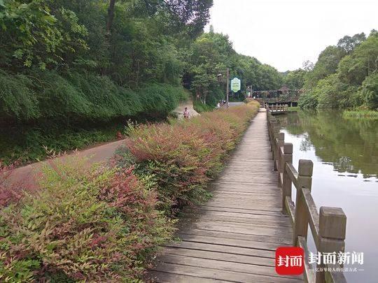 德阳火灾警钟长鸣，共筑城市安全防线