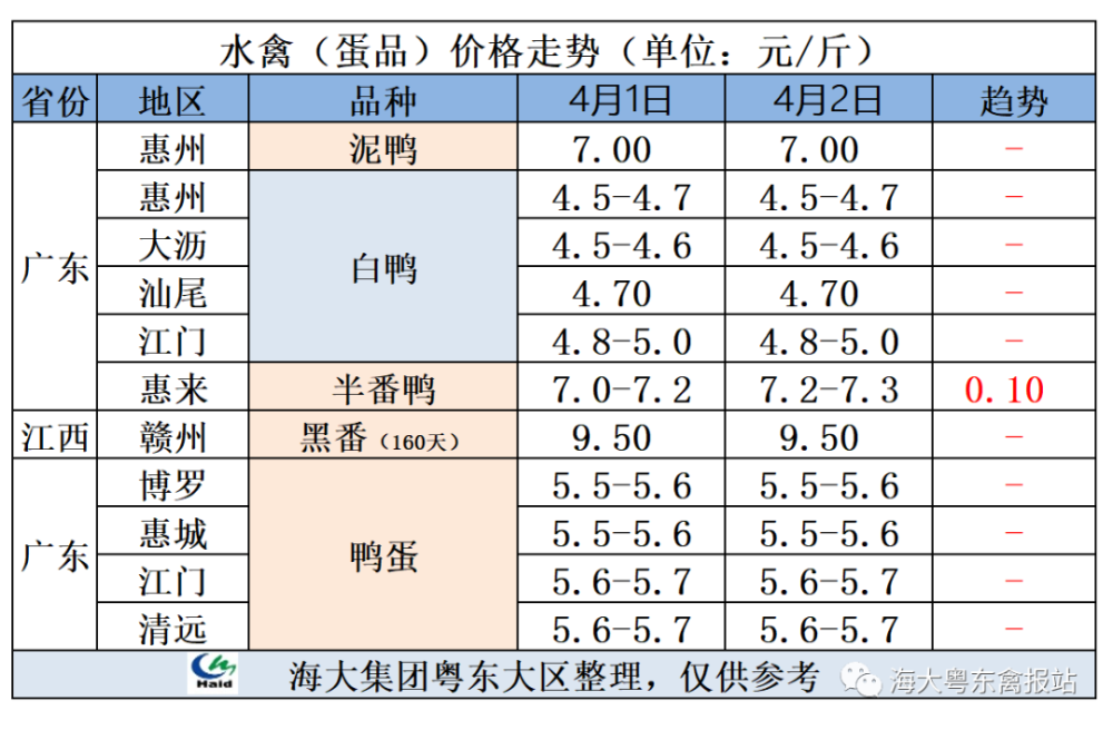 最新鸭子价格动态及市场深度分析