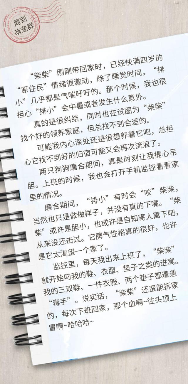 收养日记最新，爱与成长的感人纪实