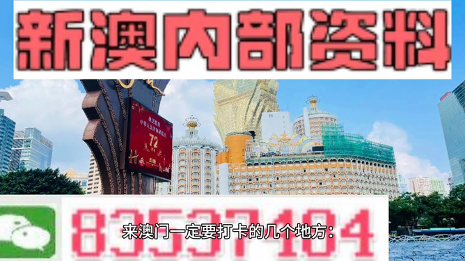 2024新澳门兔费资料,重要性解释落实方法_Android256.183