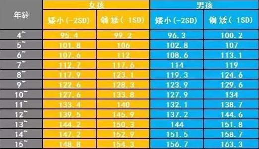 2024澳门天天开好彩免费资科,动态调整策略执行_标准版90.65.32