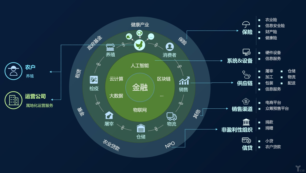 今晚澳门特马开什么号码342,数据驱动执行方案_游戏版258.183