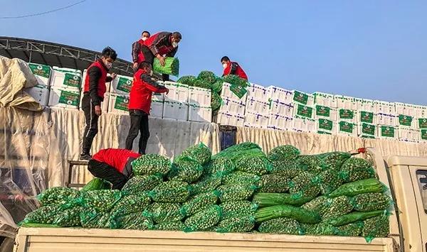 沂南芹菜最新价格及市场分析报告