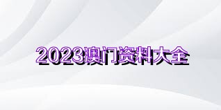 2023澳门资料大全正版资料免费,国产化作答解释落实_经典版172.312