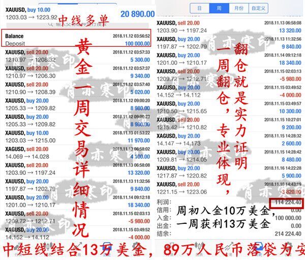 今晚开一码一肖,广泛的解释落实支持计划_黄金版3.236