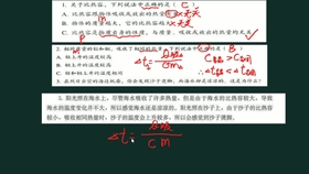 新澳门精准资枓,绝对经典解释落实_win305.210