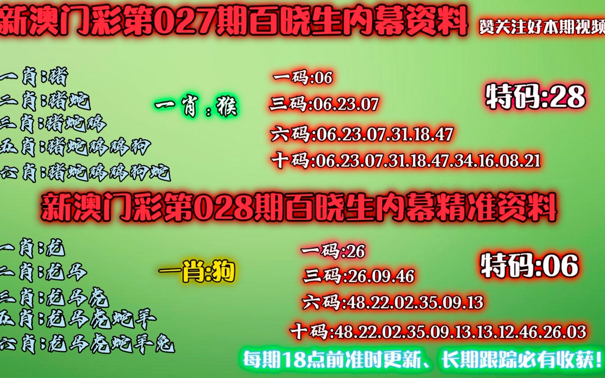 澳门精准一肖一码精准,效率资料解释落实_模拟版9.232