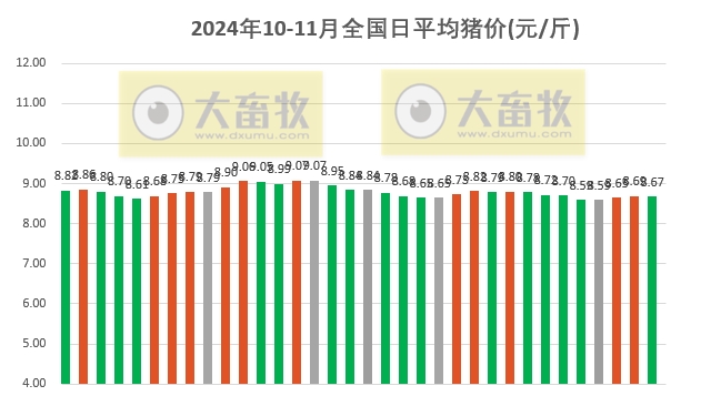 平江最新猪价动态及市场深度分析