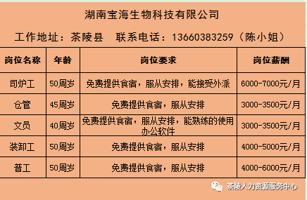 环县本地最新招聘信息全览