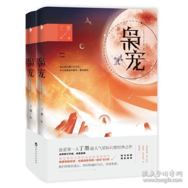 丁墨2024新作半星，深度解读与情感探索